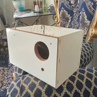 لانه ی مرغ عشق