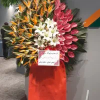 تاجگل نمایشگاهی و افتتاحیه دسته ...