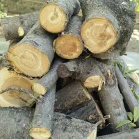 چوب شومینه