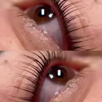 خدمات و آموزش آرایش دائم، لیفت لمینت، اصلاح،شنیون|خدمات آرایشگری و زیبایی|مشهد, فلسطین|دیوار