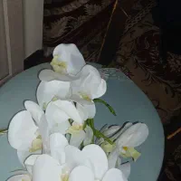 گل مصنوعی کادویی|گل مصنوعی|تهران, فردوس|دیوار