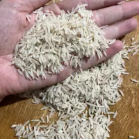 برنج فجر سوزنی