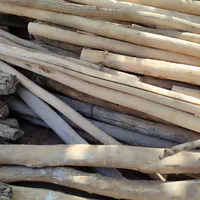 خریدارچوب خشک بامناسبترین قیمت|خدمات باغبانی و درختکاری|پارسآباد, |دیوار