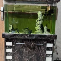 آکواریوم شیشه خم با کمد