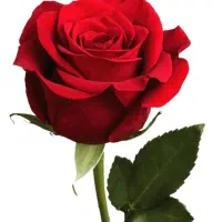 آموزشگاه تخصصی کامپیوتر
