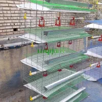 قفس|لوازم جانبی حیوانات|بجنورد, |دیوار