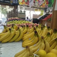 پخش عمده میوه|خدمات پذیرایی، مراسم|تهران, منیریه|دیوار