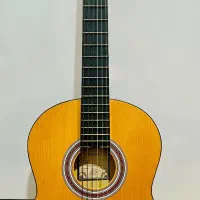 گیتار پارسیان سالم و خوش‌صدا  با کیف و پیک