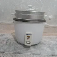 پلوپز برقی در حد نو