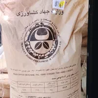 بذر ذرت مغان وسبزوارن