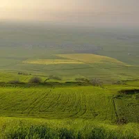 جویای سرایداری نیمه وقت هستم (ترکمن)