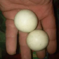 شهاب سنگ واسیاب|جواهرات|اردبیل, |دیوار