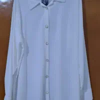 تعدادی شرمیز زیبا