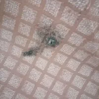 موکت نسکافه ای خوش رنگ وطرح|موکت|اصفهان, مفتح|دیوار