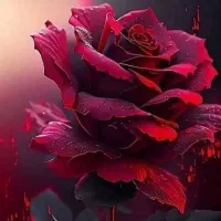 همخونه میشم