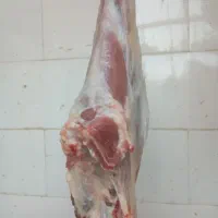 گوشت 470