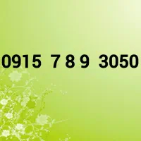 0915-7-8 9-3050