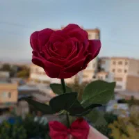 بیگ‌رز