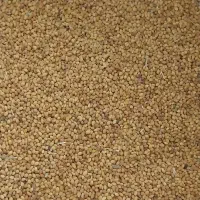 شبدر|خدمات باغبانی و درختکاری|دشت ذهاب, |دیوار