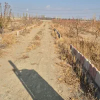 باغچه پنج ساله شهر تنکمان|فروش خانه و ویلا|تنکمان, |دیوار