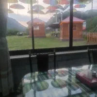 کارگر ساده رستوران