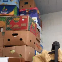 ۲۵ عدد کارتن موزی در حد نو|ابزارآلات|تهران, بهار|دیوار