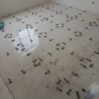 کاشی‌کاری سرامیک کاری سیمان کاری دیوار چینی