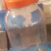 شیشه ترشی و رب گوجه