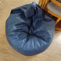 بین بگ مدل بولت