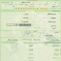 مدارک گمشده برگ سبز