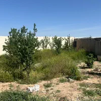 زمین۲۰۰متر(سندتکبرگ)سهیلیه.زعفرانیه.اقبالیه|فروش زمین و ملک کلنگی|کرج, مهرویلا جنوبی|دیوار