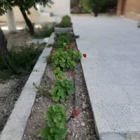 باغ ۴۰۰۰ متری لپویی