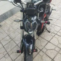 بنلی 250 جفت 1401