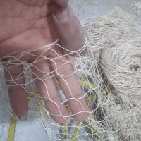سلیه یا تور پرتابی