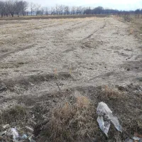 زمین اشترینان جهت ویلا باغ|فروش زمین و ملک کلنگی|اشترینان, |دیوار