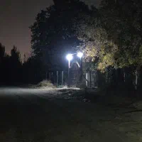 یک قطعه باغ میوه زرد آلو|فروش خانه و ویلا|سلماس, |دیوار