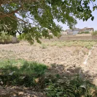 زمین ۲۱۳متری بلوار امام جعفرصادق|فروش زمین و ملک کلنگی|یزد, |دیوار