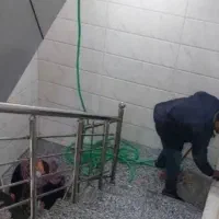 شرکت خدمات نظافتی اعتمادگران(( تضمینی))|خدمات نظافت|شیراز, زرهی|دیوار