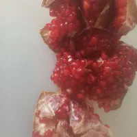 انارطبیعی بدون کودبعمل اومده