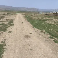 زمین بین چغابدار و سیاهکله با ماشین هم معاوضه دارم