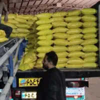 برنج عنبر نیم دانه وبلند30٪تخفیف معطر شوشتری اصل