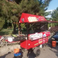 گاری فست فود