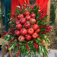 گل ارایی پول ارایی شیک اقتصادی