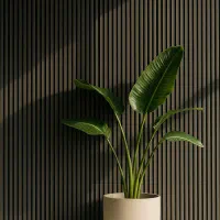 پنل آ‌کوستیک آکولاین