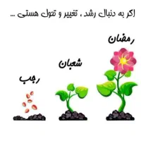 سم پاش گمشده مژدگانی