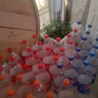 جانوشابه|حراج|یاسوج, |دیوار