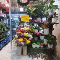 رهن و اجاره مغازه گل فروشی