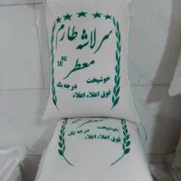سرلاشه طارم
