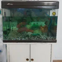 فروش یا معاوضه اکواریوم