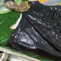 بلوز مجلسی رنگ مشکی نو مارک داره|لباس|رامسر, |دیوار